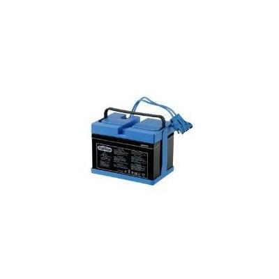 Peg Perego Battery 12 Volt