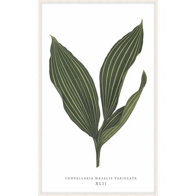 Level57 Green Trace Print - D2206S44104-3575